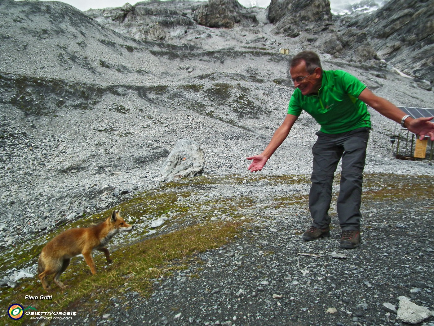 04 Ci accoglie la volpe di casa al rifugio.JPG